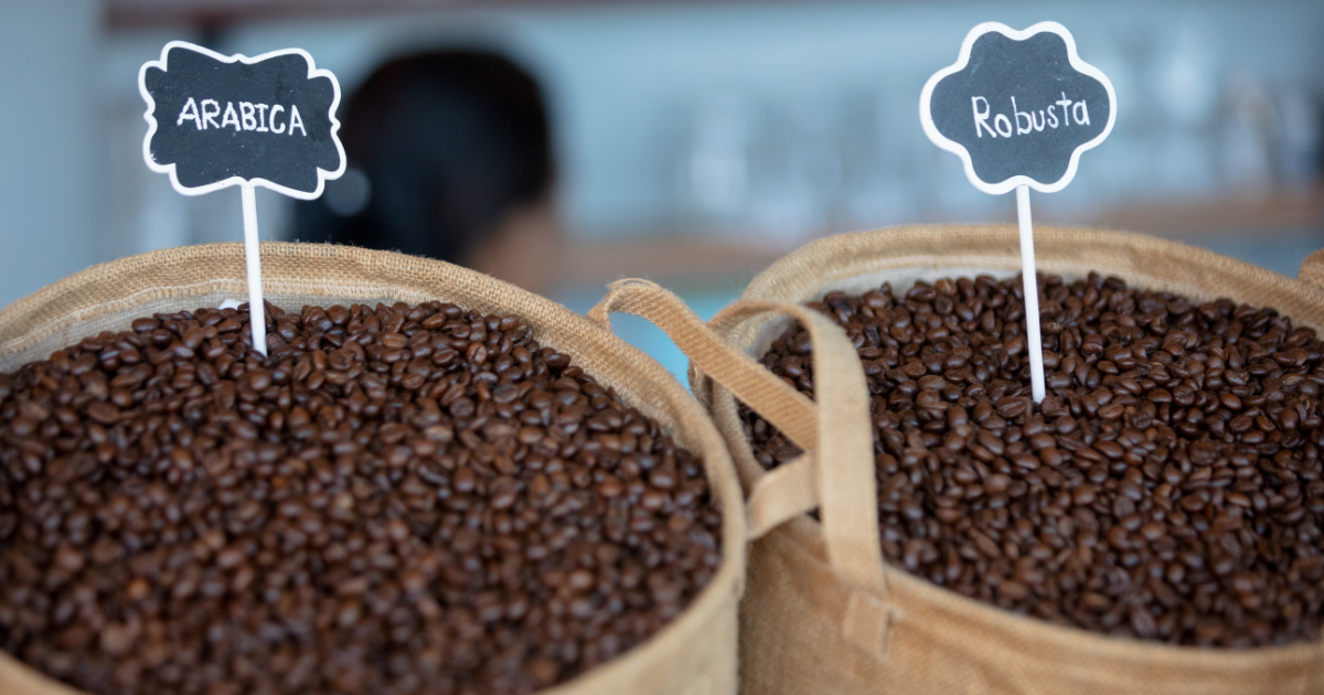 Het verschil tussen Arabica en Robusta
